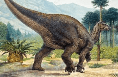 An iguanodon